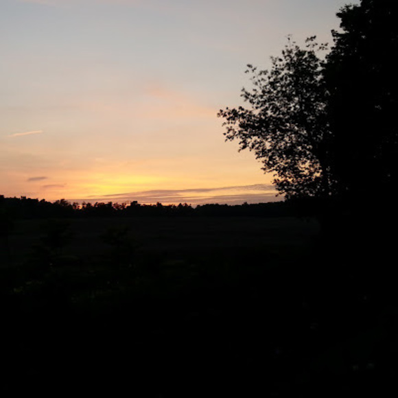 Meet your Posher, Madison - Picture 1 of 1